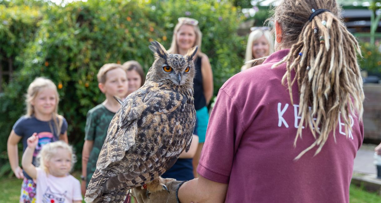 Keeper talk at Monkey Haven, Isle of Wight